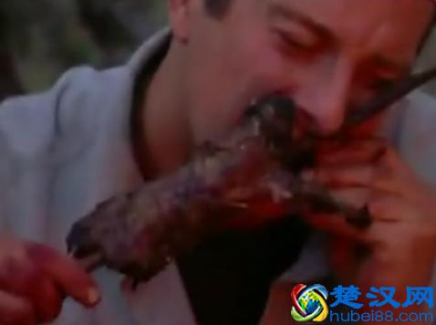 贝尔.格里尔斯：食物链顶端的男人都吃过哪些恶心的食物？