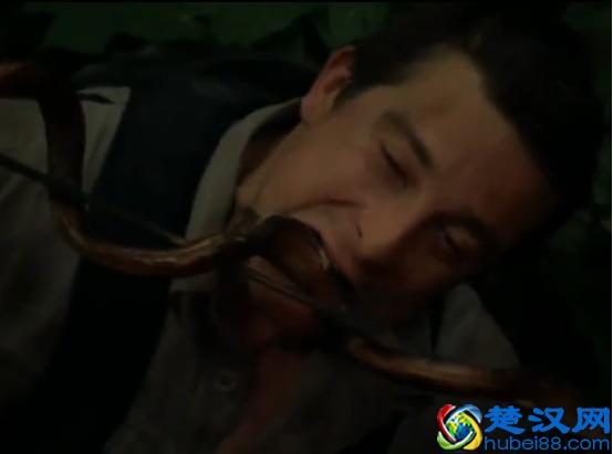 贝尔.格里尔斯：食物链顶端的男人都吃过哪些恶心的食物？