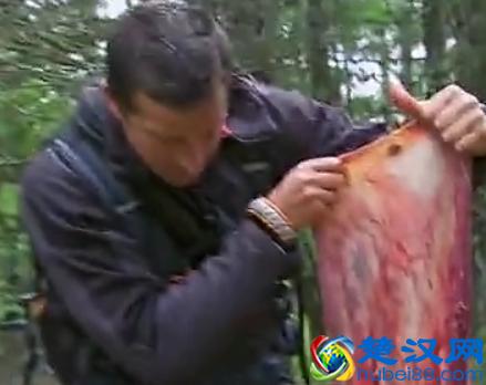 贝尔.格里尔斯：食物链顶端的男人都吃过哪些恶心的食物？