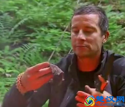 贝尔.格里尔斯：食物链顶端的男人都吃过哪些恶心的食物？