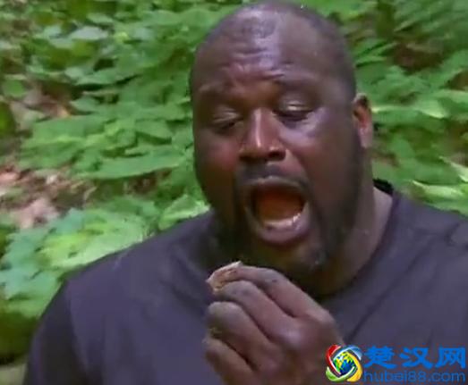 贝尔.格里尔斯：食物链顶端的男人都吃过哪些恶心的食物？