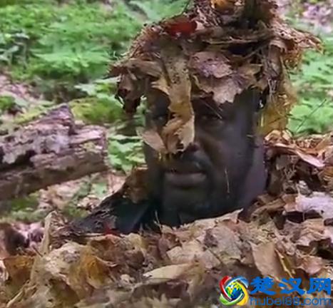 贝尔.格里尔斯：食物链顶端的男人都吃过哪些恶心的食物？