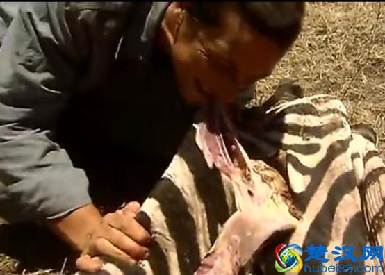 贝尔.格里尔斯：食物链顶端的男人都吃过哪些恶心的食物？