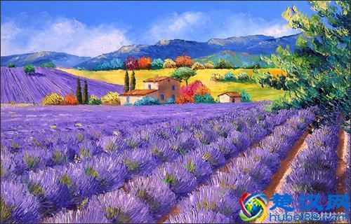 「游玩推荐」9月五彩缤纷大变装，秋花花意渐渐浓