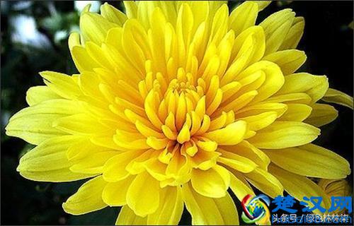 「游玩推荐」9月五彩缤纷大变装，秋花花意渐渐浓