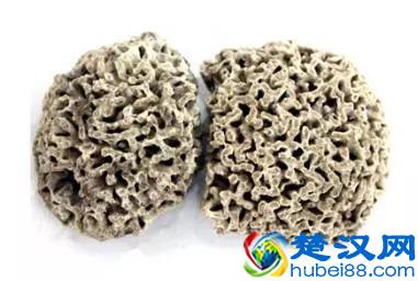 清肺降火，软坚化痰——海浮石