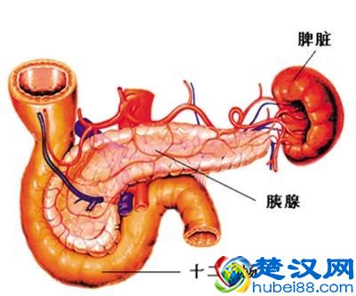 慢性胰腺炎的症状，病因与治疗方法
