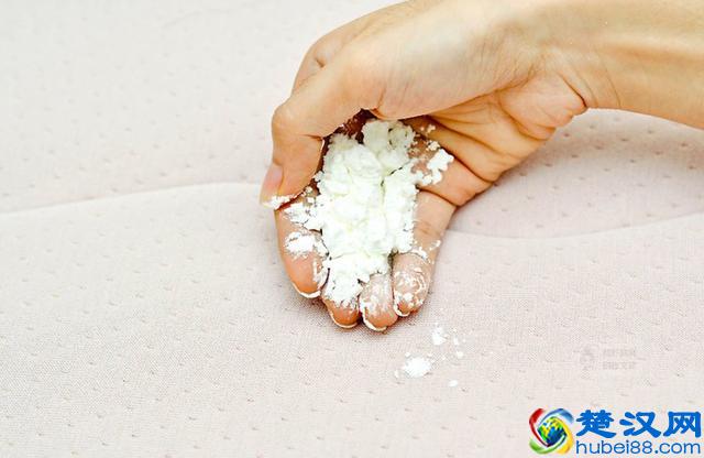 床垫上被宝宝宠物尿上尿尿了怎么办？教你一招就能彻底清除尿味