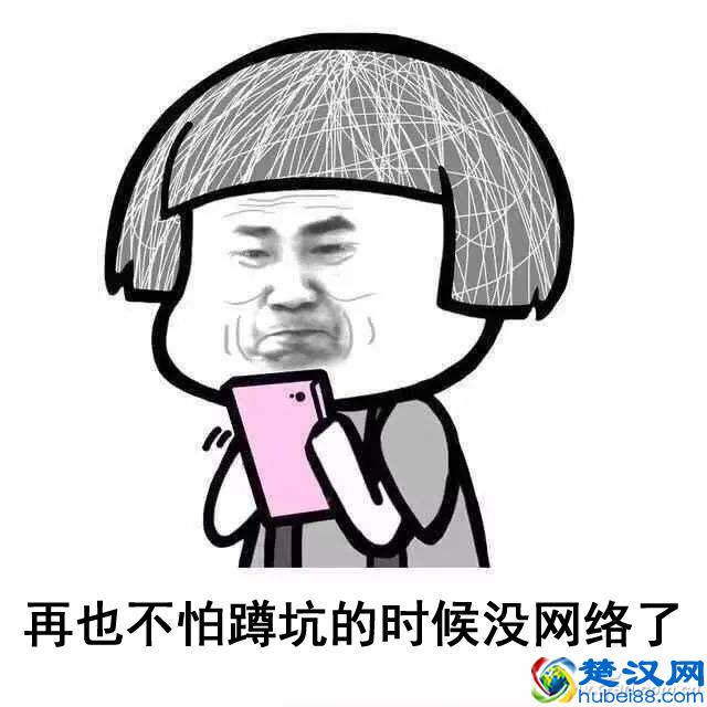 电力猫是啥 有些人一定要看看