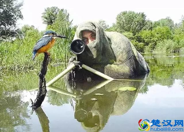 新手买相机应注意需要注意哪些 买相机技巧介绍