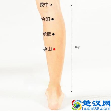 痔疮的最佳防治方法，一般人我不告诉他（建议收藏）