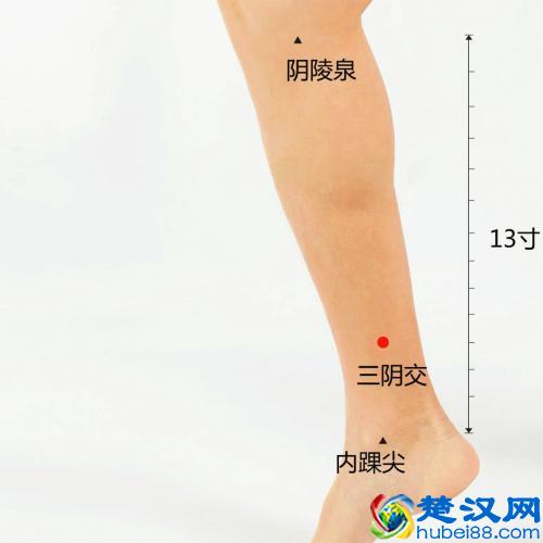 痔疮的最佳防治方法，一般人我不告诉他（建议收藏）