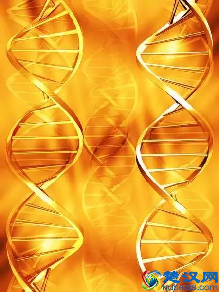 淋巴瘤即是淋巴癌！身体出现这3个症状，是淋巴瘤早期信号