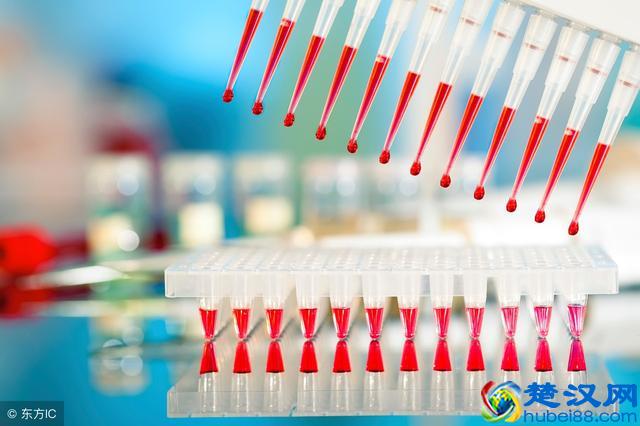 注意了，孕妇中性粒细胞百分比偏高可不是好事，得积极应对