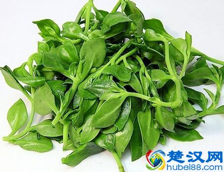 咽炎患者的福音，经常吃这道菜，治好了20年的咽炎！