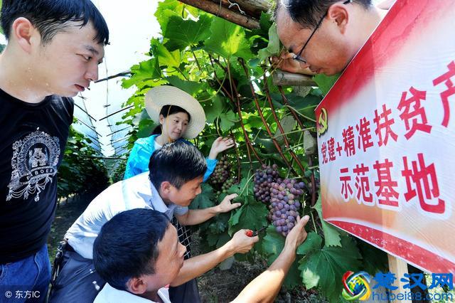 扶贫不妨“因地制宜”