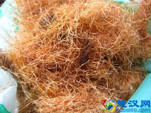 4个症状提醒你，血压可能有点高了，如果一个都没有，恭喜你！