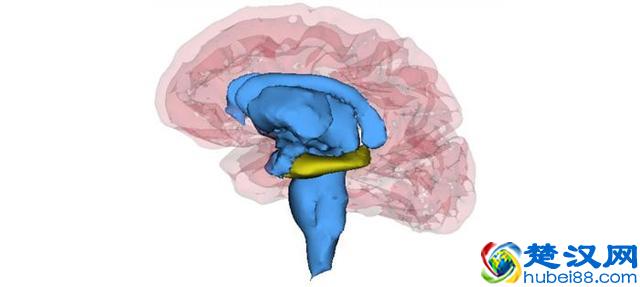 史上“最准”的抑郁症测试，敢试试吗？或许你并没有患上抑郁症！