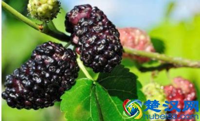 肩膀酸痛怎么办，3个治疗肩周炎的好方法！