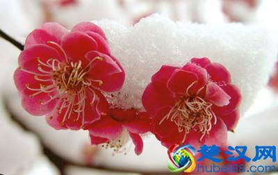 朋友不在多，在于知心