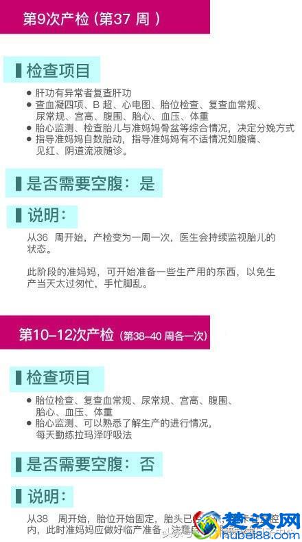 最新最全的孕期12次检查项目和产检时间表，女人一定要看