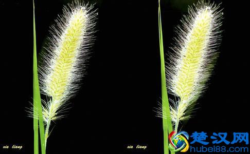 是的，你也可以裸眼看左右3D格式图片和电影（附方法）