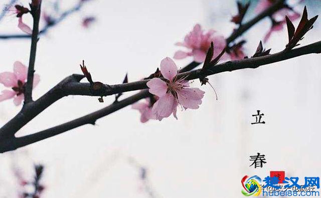 农村老人说的“寡妇年”是什么意思？2019年有没有“立春”？