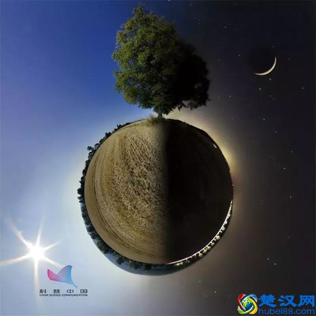 “生物钟”到底是什么？它是怎么知道一天有24小时的？答案在这