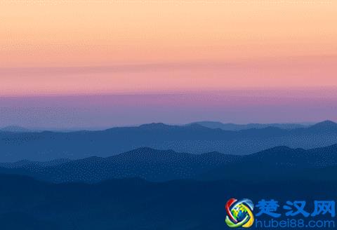 “生物钟”到底是什么？它是怎么知道一天有24小时的？答案在这