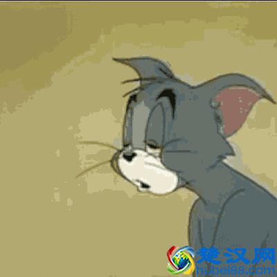 “生物钟”到底是什么？它是怎么知道一天有24小时的？答案在这