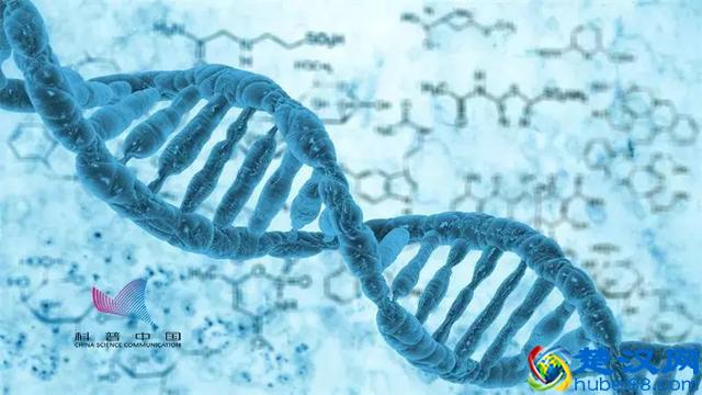 “生物钟”到底是什么？它是怎么知道一天有24小时的？答案在这