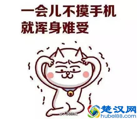 你的手机流量费今年要降30%以上!具体怎么算?权威回应来了