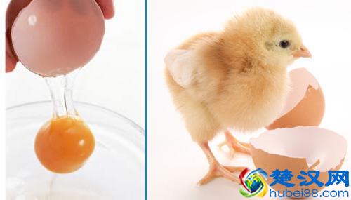 大街网12月第1周：职场正能量，让你心花路放！