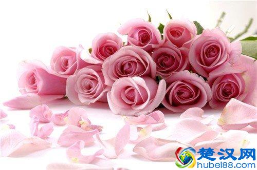 粉玫瑰代表什么意思？花语和寓意是什么？