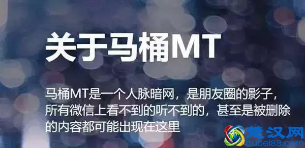 快播之后，“BT天堂”也死了，站长入狱！当年的看片神器都凉了！