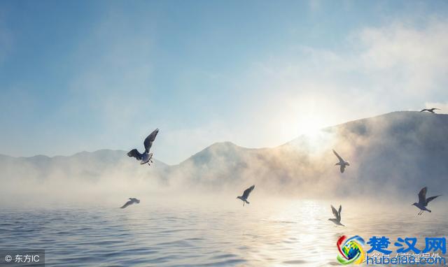 《苏菲的世界》30句经典名句:那轰然一响,我们也是星辰