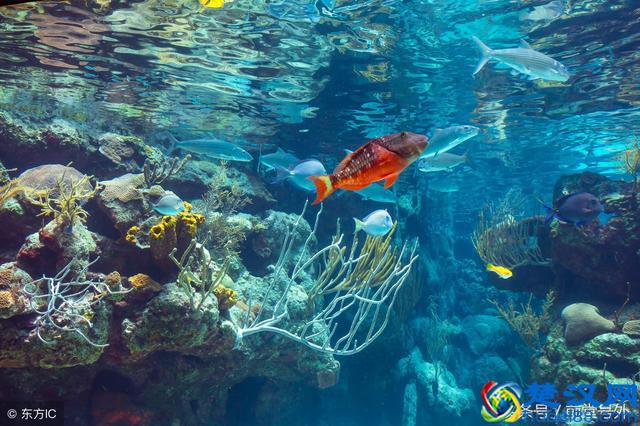 《苏菲的世界》30句经典名句:那轰然一响,我们也是星辰