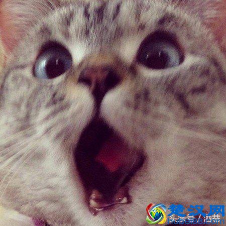 梦到掉牙是什么意思？快来看看吧