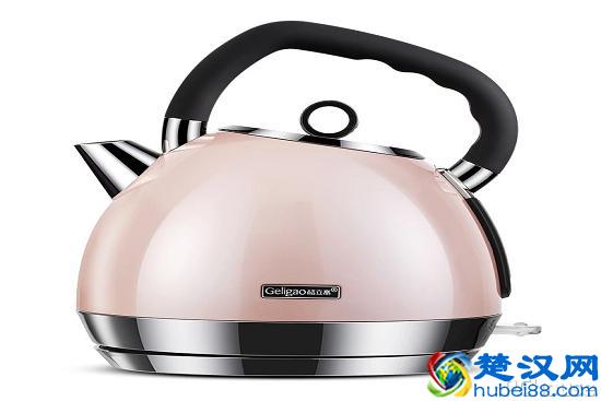 保温电水壶什么牌子好 保温电水壶新品价格