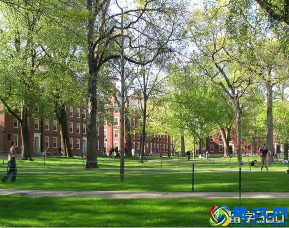 哈佛大学的入学条件，看看你符合吗？