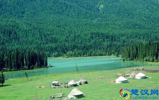 新疆切糕太贵？来看看真正的新疆切糕是什么样子的！