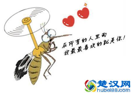 蚊子喜欢叮咬什么血型的人？谁是蚊子的“美味大餐”？这5类人最危险