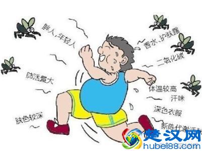 蚊子喜欢叮咬什么血型的人？谁是蚊子的“美味大餐”？这5类人最危险