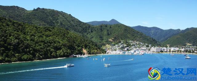 爸爸，大海为什么是蓝色的？