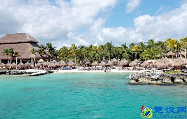 爸爸，大海为什么是蓝色的？