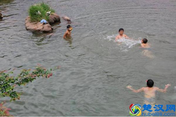 农村池塘河边的“水猴子”到底是什么？