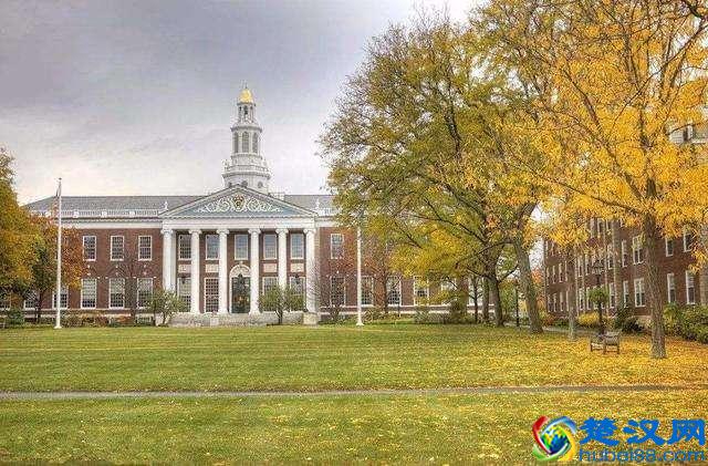 最新最全美国大学商学院排名