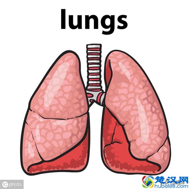 什么样的症状提示肺癌，医生列出7点，每一点都可能是肺癌征兆