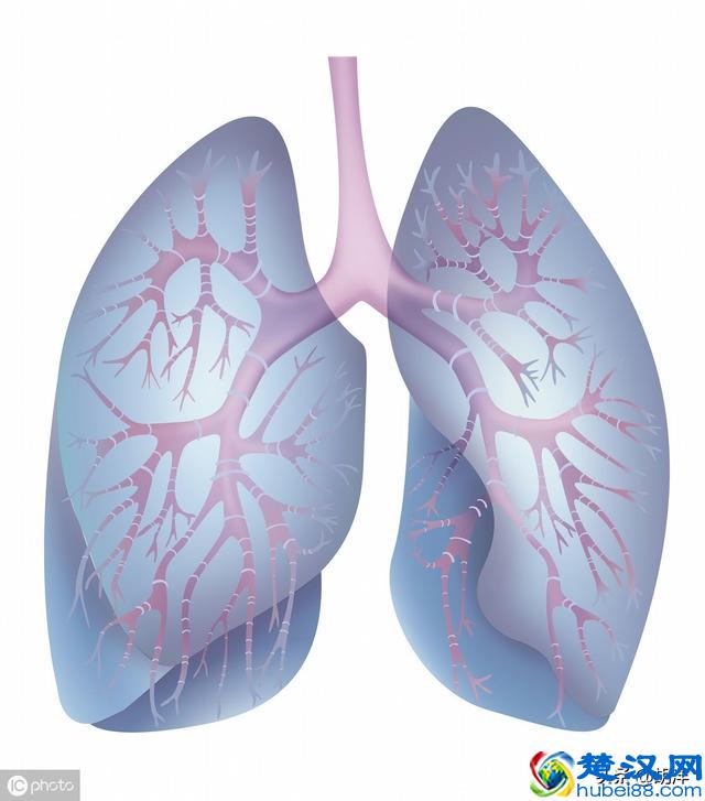 什么样的症状提示肺癌，医生列出7点，每一点都可能是肺癌征兆