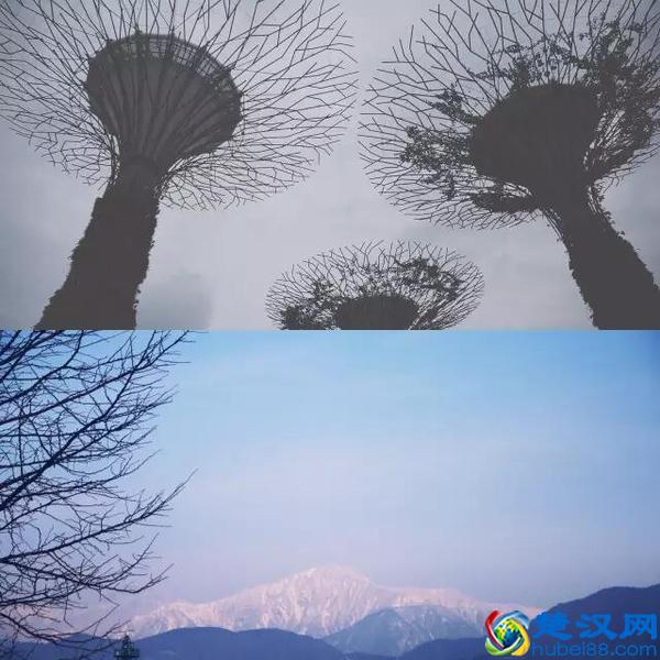 解构《纯艺术》和美国的后现代主义纯艺术